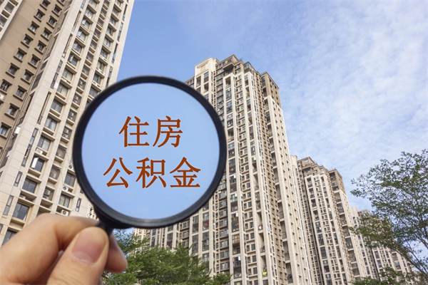 河源怎么取住房住房公积金（取住房公积金方法）